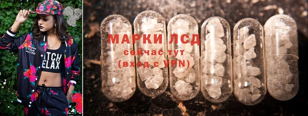 ГАЛЛЮЦИНОГЕННЫЕ ГРИБЫ Балахна